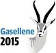 Gasellebedrift 2015